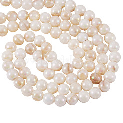 2 Strands AB Color Natural Freshwater Shell Beads Strands&nbsp;BSHE-TA0001-40