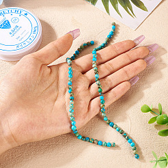 DIY Natural Regalite/Imperial Jasper/Sea Sediment Jasper Beads Bracelets  Making KIts&nbsp;DIY-TA0002-69A