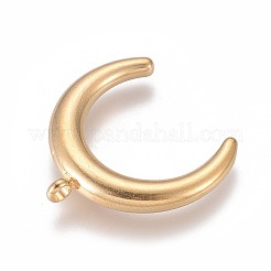 304 Stainless Steel Pendants&nbsp;STAS-F229-01-G