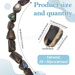 1 Strand Natural Abalone Shell/Paua Shell Beads Strands&nbsp;SSHEL-ME0001-01