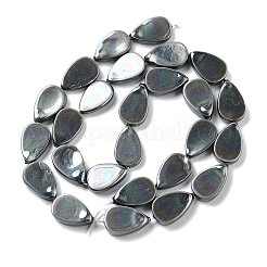 Natural Freshwater Shell Beads Strands with Enamel&nbsp;SHEL-D082-16A