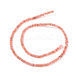 Natural Freshwater Shell Beads Strands&nbsp;SHEL-M018-06