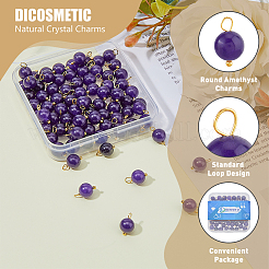 80Pcs Natural Amethyst Round Charms&nbsp;PALLOY-DC00001