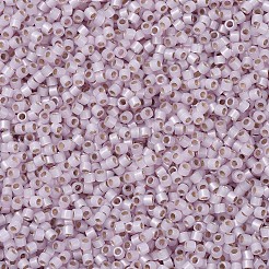 MIYUKI Delica Beads&nbsp;SEED-J020-DB1457