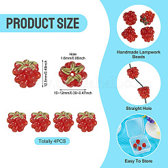 4Pcs Handmade Lampwork Beads&nbsp;LAMP-TA0002-24G