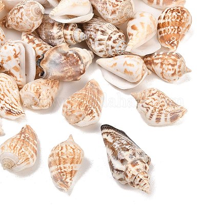 Natural Conch Shell Beads&nbsp;BSHE-O007-57-1