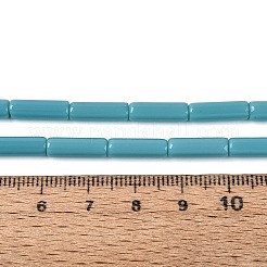 Opaque Solid Color Glass Beads Strands&nbsp;GLAA-N070-01A-C03