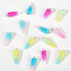 24Pcs 6 Colors Resin Pendants&nbsp;RESI-NB0001-70