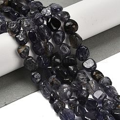 Natural Iolite Beads Strands&nbsp;G-P497-01E-01