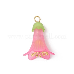 Transparent Acrylic Bead Caps&nbsp;PALLOY-JF03722