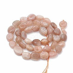 Natural Sunstone Beads Strands&nbsp;G-S331-8x10-011