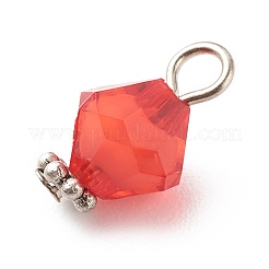 Transparent Acrylic Charms&nbsp;PALLOY-JF01744