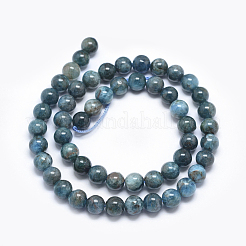 Natural Apatite Beads&nbsp;G-E481-05-6mm