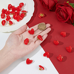 24Pcs 2 Styles Resin Pins&nbsp;JEWB-ME0001-31