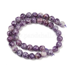 Natural Lepidolite Beads Strands&nbsp;G-U026-A06-10mm