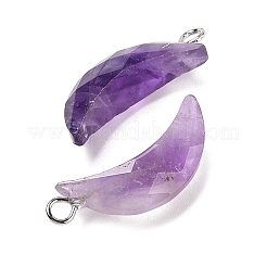 Natural Amethyst Pendants&nbsp;G-L614-D05-P05