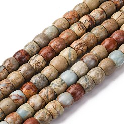 Natural Aqua Terra Jasper Beads Strands&nbsp;G-L624-D03-8x6mm