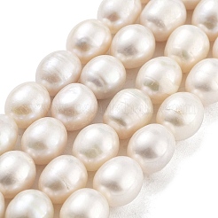 Natural Cultured Freshwater Pearl Beads Strands&nbsp;PEAR-P062-13E