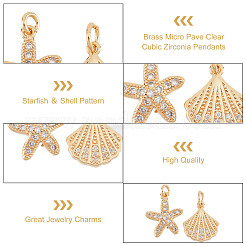 12Pcs 2 Style Brass Charms&nbsp;FIND-PH0006-11