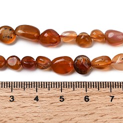 Natural Red Agate Beads Strands&nbsp;G-B161-A01