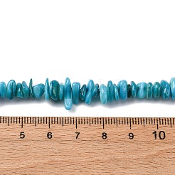 Natural Freshwater Shell Beads Strands&nbsp;BSHE-I016-01A