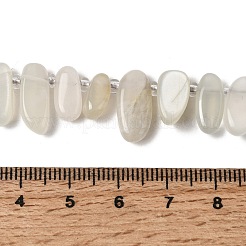 Natural Moonstone Beads Strands&nbsp;G-P604-A27-01