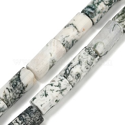 Natural Tree Agate Beads Strands&nbsp;G-U018-B03-01