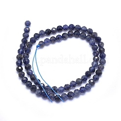Natural Iolite Beads Strands&nbsp;G-O171-13-5mm