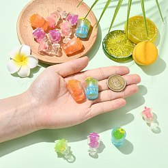 30Pcs 5 Styles Resin Display Decorations&nbsp;DJEW-CJ0001-15