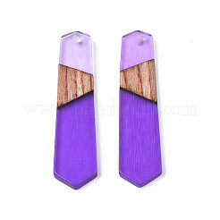 Resin & Walnut Wood Pendants&nbsp;RESI-N025-020-C03