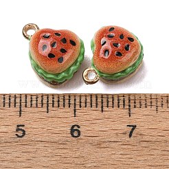 Alloy Enamel Charms&nbsp;FIND-H069-02G