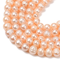 Natural Cultured Freshwater Pearl Beads Strands&nbsp;PA-CBABE82-16