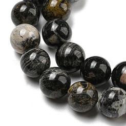 Natural Black Silver Leaf Jasper Beads Strands&nbsp;G-R494-A17-03