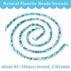 2 Strands Natural Apatite Beads Strands&nbsp;G-OC0004-49
