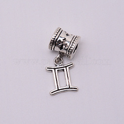 Tibetan Style Alloy Pendants Set&nbsp;PALLOY-WH0070-48P