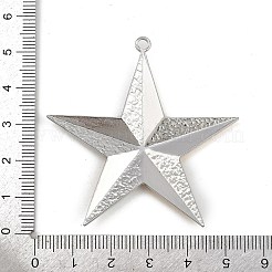 304 Stainless Steel Big Pendants&nbsp;STAS-L302-13GP