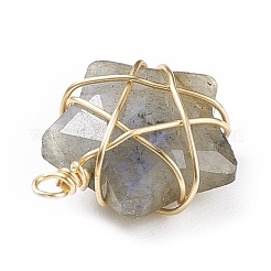 Natural Gemstone Pendants&nbsp;PALLOY-JF01457-01