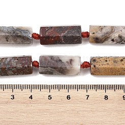 Natural Mexican Crazy Lace Agate Beads Strands&nbsp;G-B196-C01-01