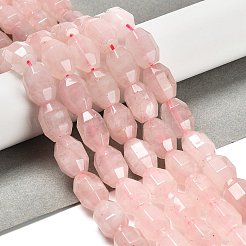 Natural Rose Quartz Beads Strands&nbsp;G-F781-A05-01