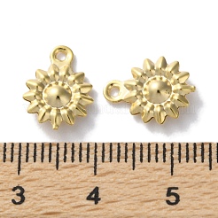 Brass Charms&nbsp;KK-F880-10G