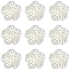 30Pcs Natural Freshwater Shell Beads Strands&nbsp;SHEL-CJ0001-30
