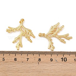 Brass Pendants&nbsp;KK-L255-01G-02