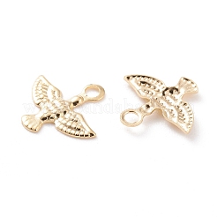 Brass Charms&nbsp;LS-KK-Y003-31G
