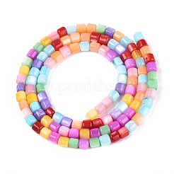 Dyed Natural Freshwater Shell Beads Strands&nbsp;SHEL-T020-56A