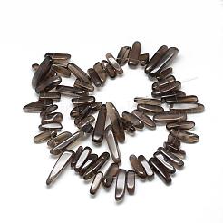 Natural Smoky Quartz Beads Strands&nbsp;G-R835-10