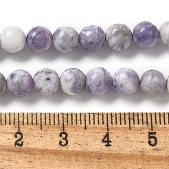 Natural Purple Turquoise Beads Strands&nbsp;G-L595-C04-01