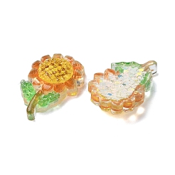 Transparent Epoxy Resin Decoden Cabochons&nbsp;X1-CRES-I030-16A