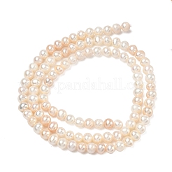 Natural Cultured Freshwater Pearl Beads Strands&nbsp;PEAR-L034-06B