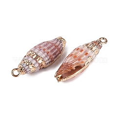 Electroplated Golden Brass Trim Natural Spiral Shell Pendants&nbsp;SSHEL-N042-39