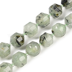 Natural Prehnite Beads Strands&nbsp;G-O201B-144H